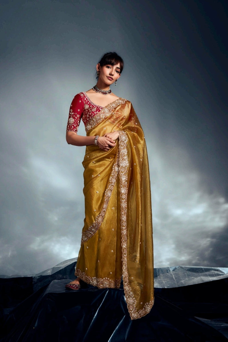 Fancy Fabric Saree with Hand Work & Designer Blouse