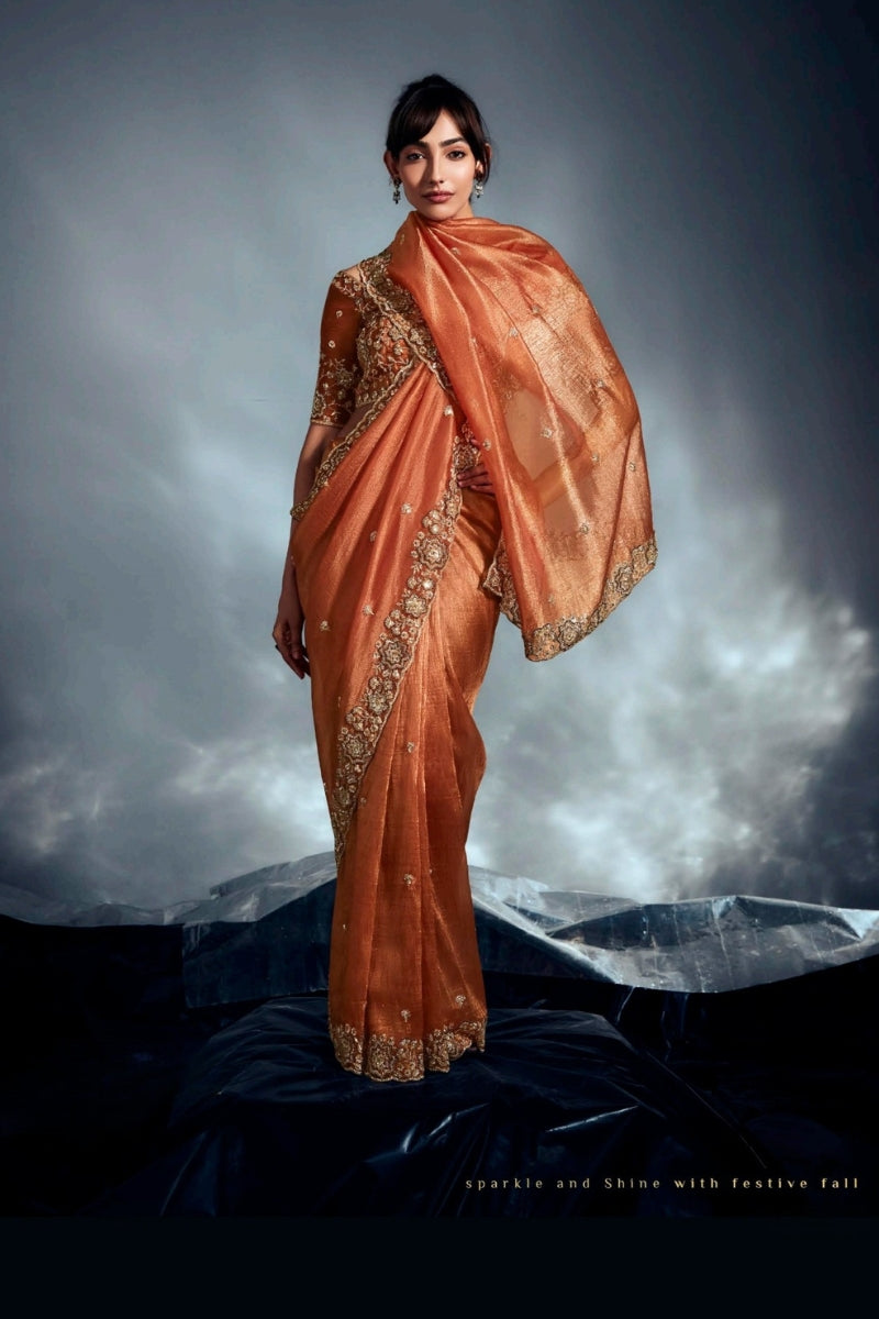 Fancy Fabric Saree with Hand Work & Designer Blouse