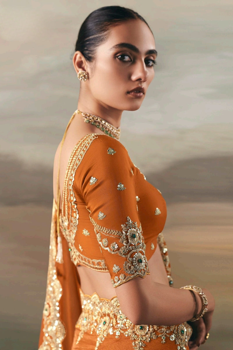 Fancy Tissue Saree with Designer Contrast Handwork Blouse