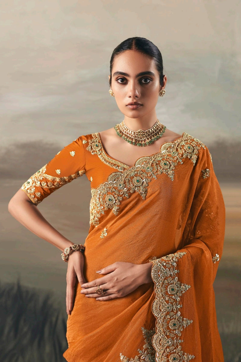 Fancy Tissue Saree with Designer Contrast Handwork Blouse