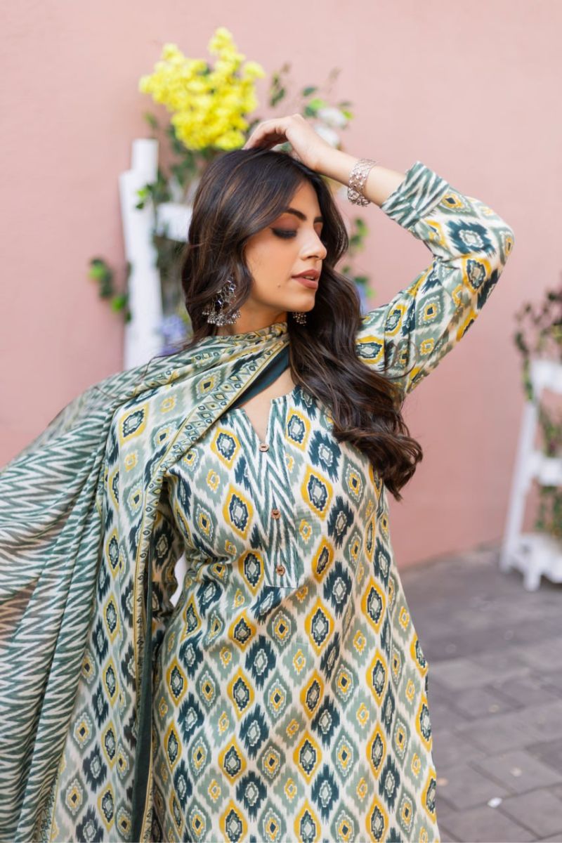 Elegant Daily & Festive Wear Outfit