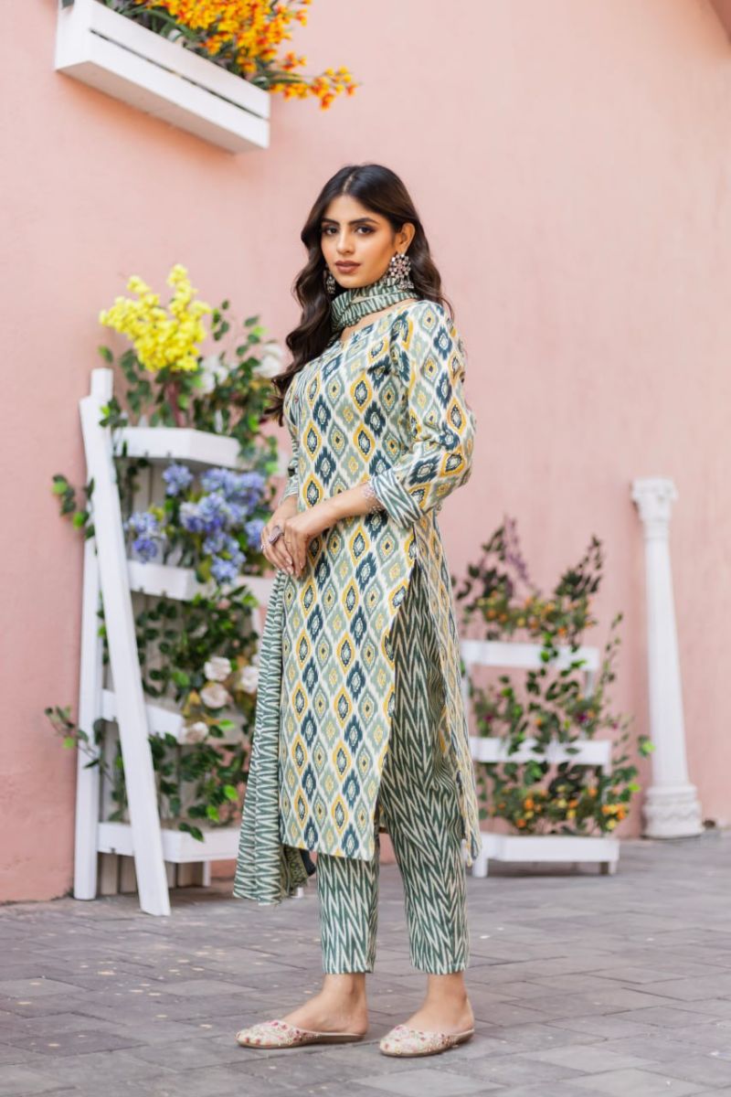 Elegant Daily & Festive Wear Outfit