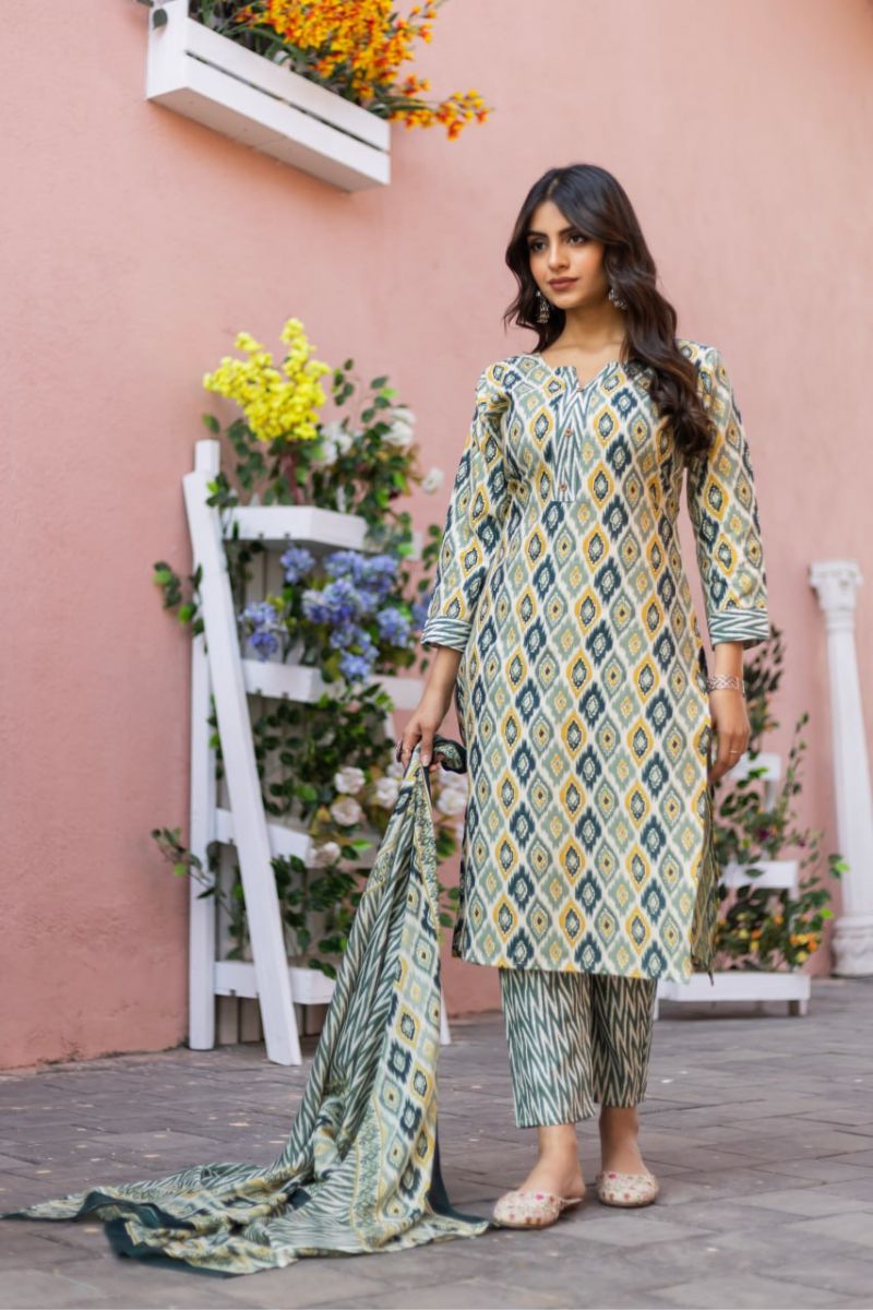 Elegant Daily & Festive Wear Outfit